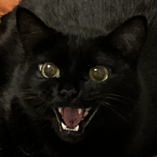 imaj