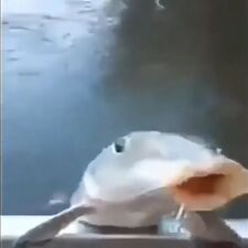 River Moon