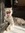 Pippin