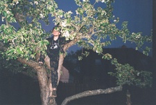 Adam
