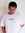 Yectli