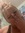 Aria Westerlund