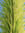 member photo member photo