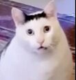 Sandra