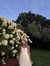 Gianna T