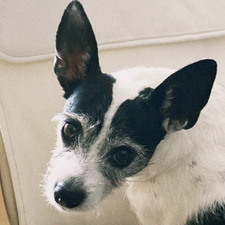 Leonor