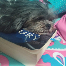 Lou