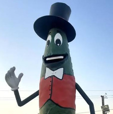 spacecitypickle