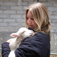 Katie King
