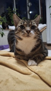 Clara