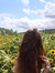 summer ...