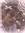 Anneliese