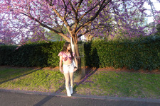 Saisha