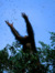 Tandious