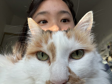 Momo Koide