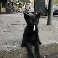 Alycat0906
