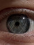 moo_ {an eye for an eye} (school s.ia.)