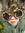 Mylo