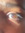 Hayaa