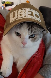 Sven