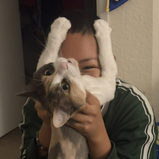 pat