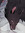 pup
