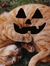 em