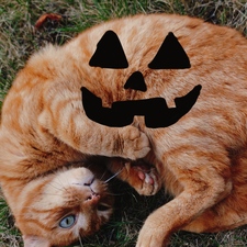em