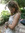 via