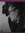 Locovilly | 64 comments