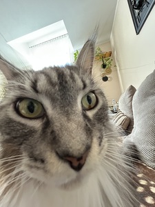 Sandra