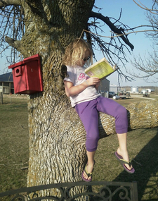 hailey eads