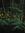 thymeglow