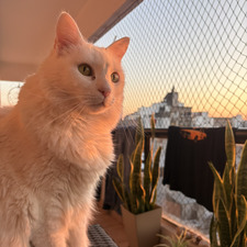 Sol