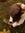 shreya ⋆ drained. ⑅ ֺ