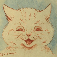 S Sidle