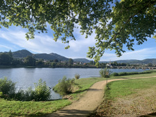 Melani