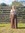 Jorinda Govers