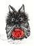 Tonia S...