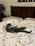 kittyki...