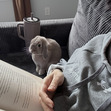 booktrovert