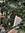 member photo member photo