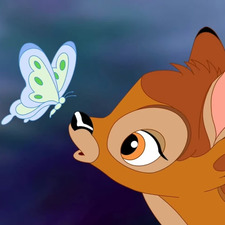 ㅤㅤAndrea