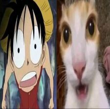 giu