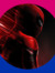 ✧~Spide...