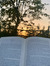 Lilly