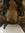Bastet