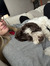 Ellie C...