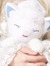 ꪆৎ fip