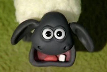 Ed Haslam